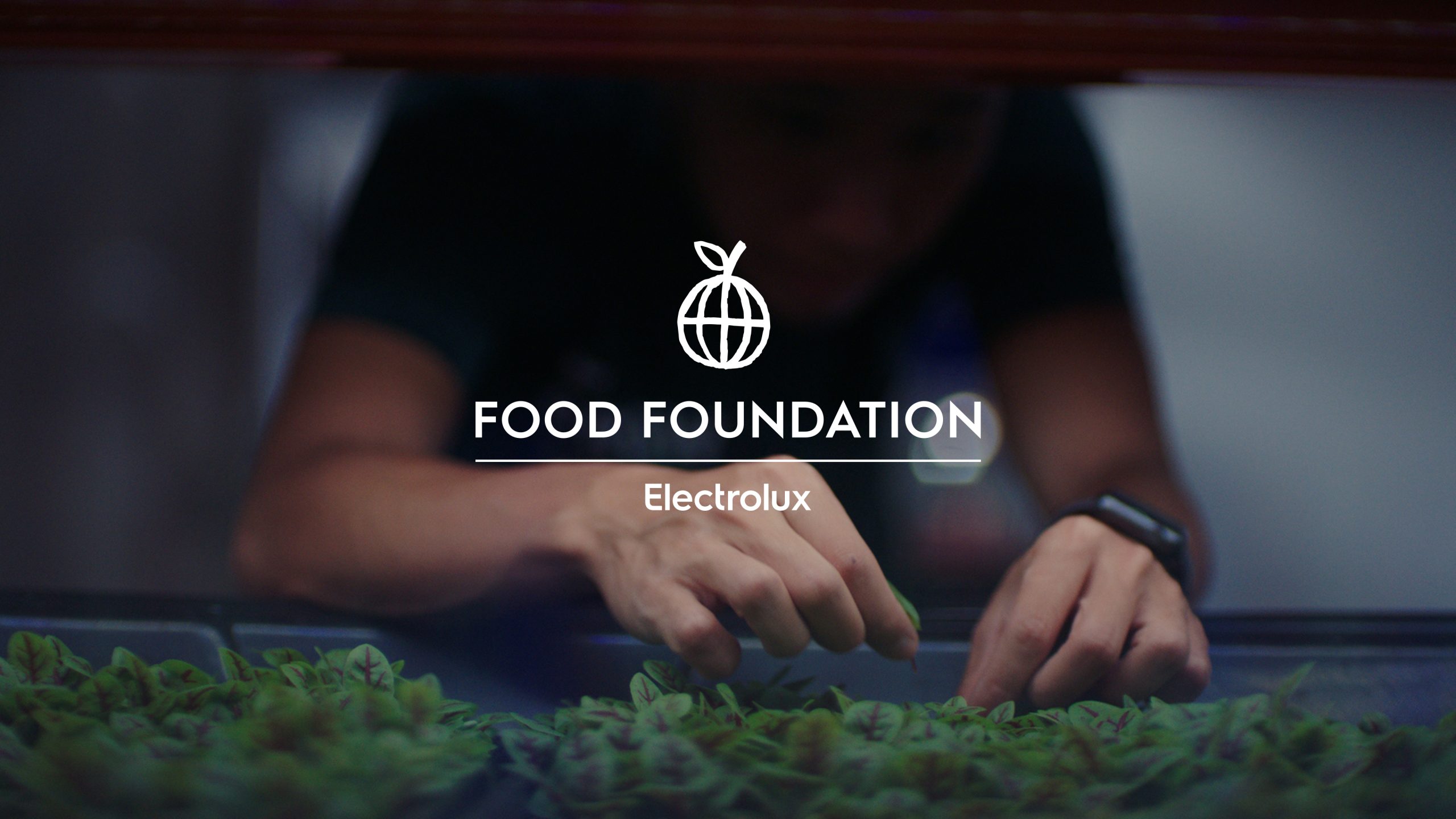 Donate 100 million SEK to Food Foundation